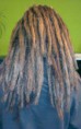 /album/pseudo-dreads/snimka1d-jpg/